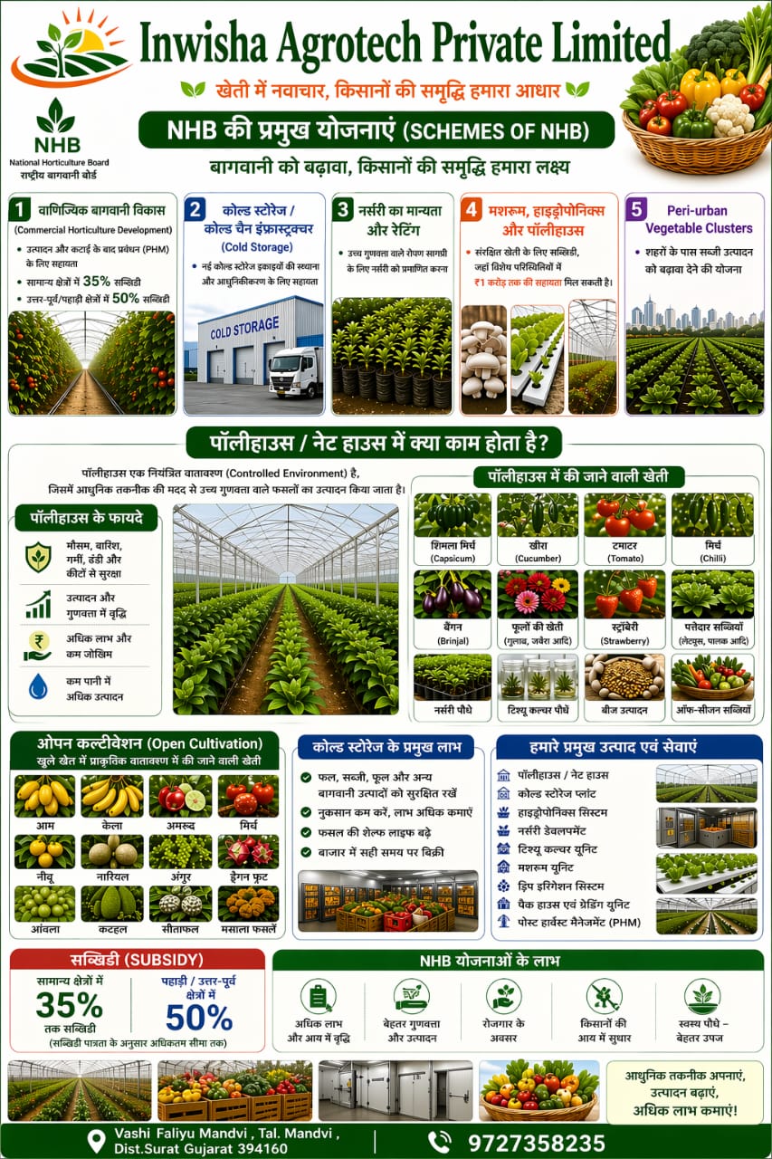 Tissue culture plants