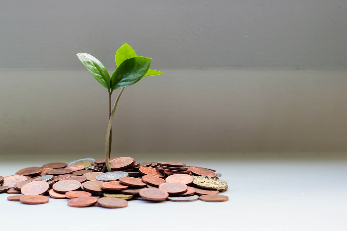 Personal loan support